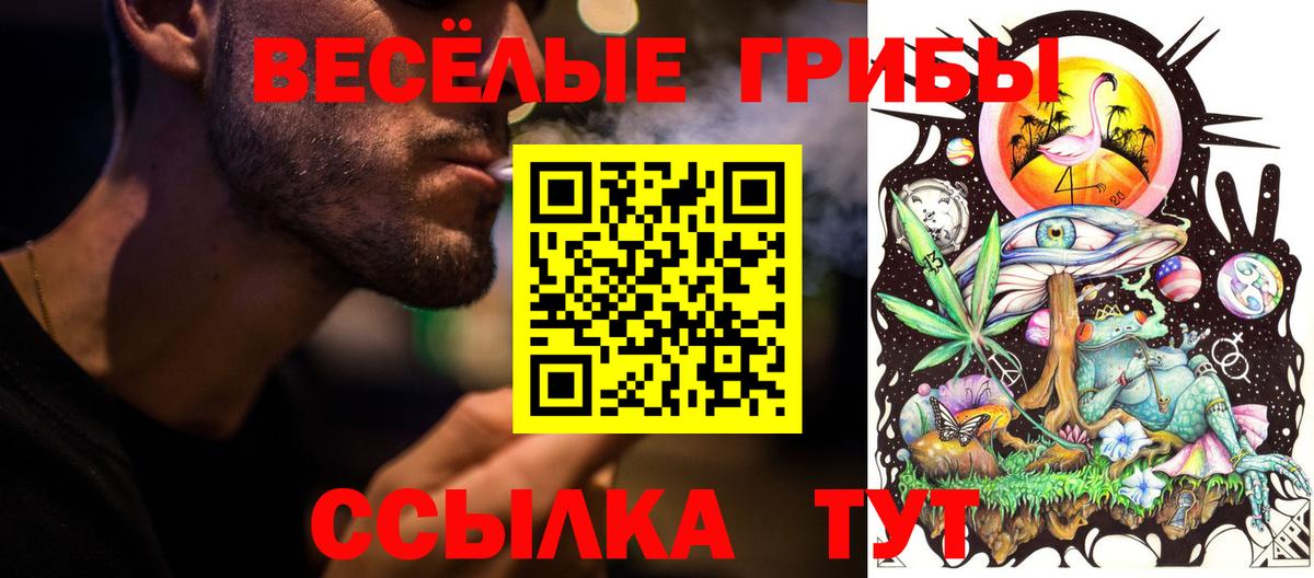 Красноуфимск  Галлюциногенные грибы Cubensis  Вход с VPN 